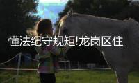 懂法纪守规矩!龙岗区住房建设局举办警示教育和廉洁从业专题讲座